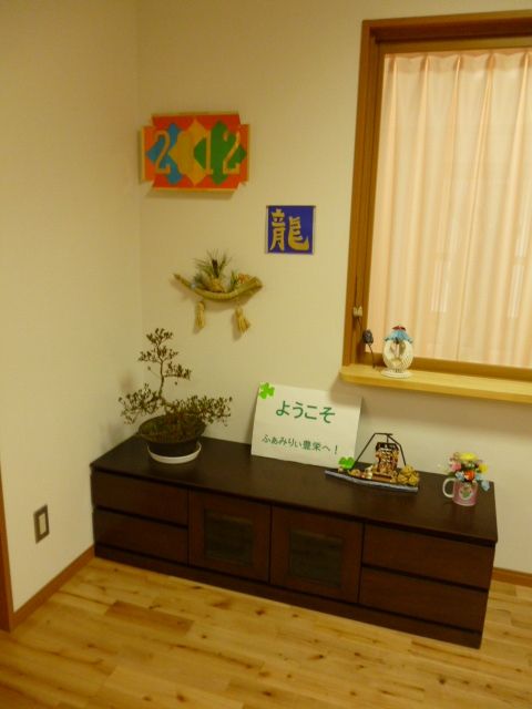 盆栽やオブジェのある棚