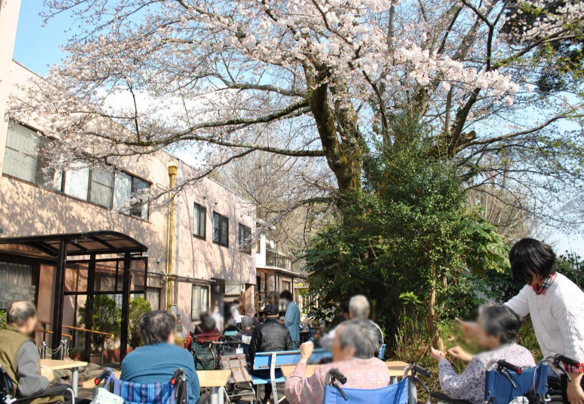桜の下での交流
