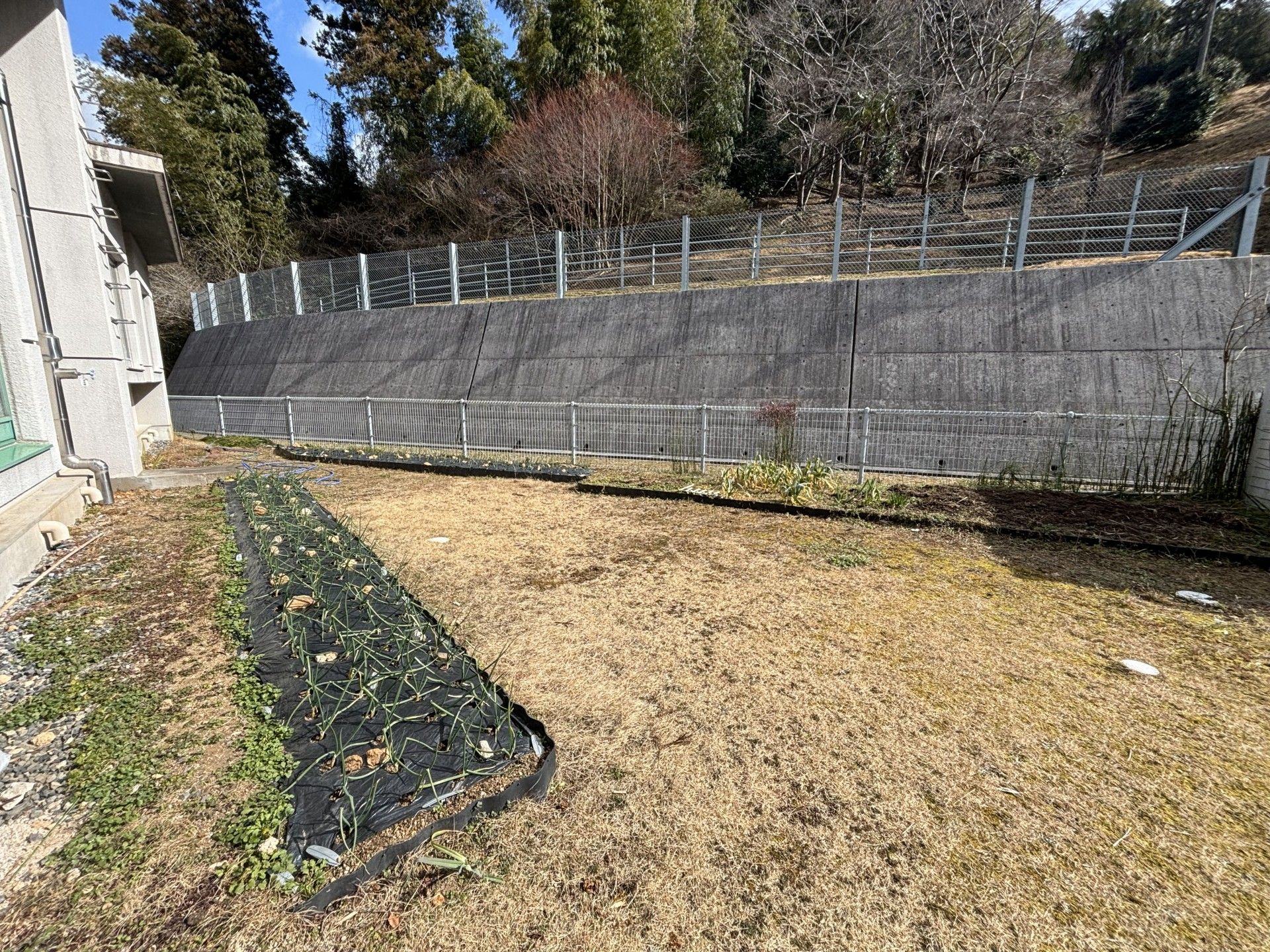 庭の一角