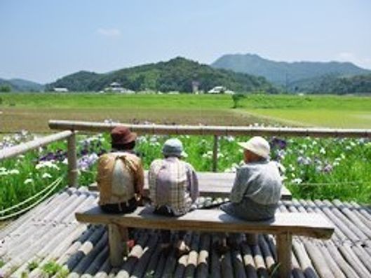 交流