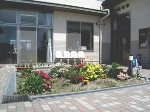 施設入り口に植えられている花の様子。花壇の全景を写したもの