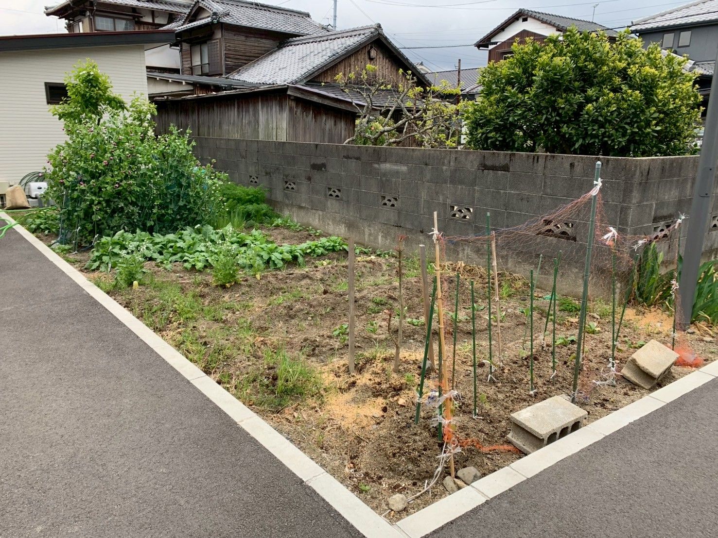 庭の一角