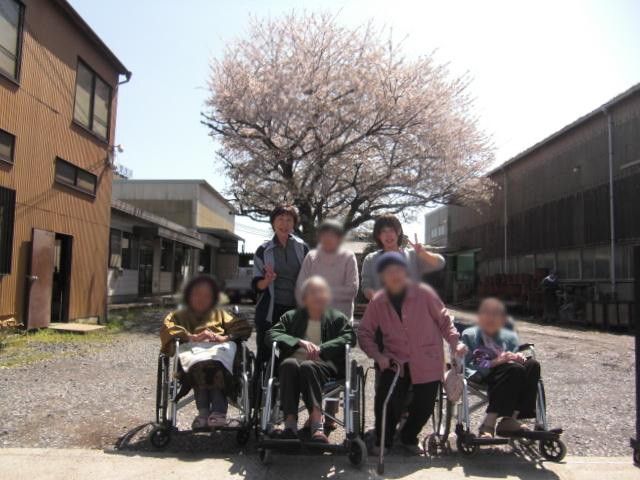 桜の木の下での集合写真