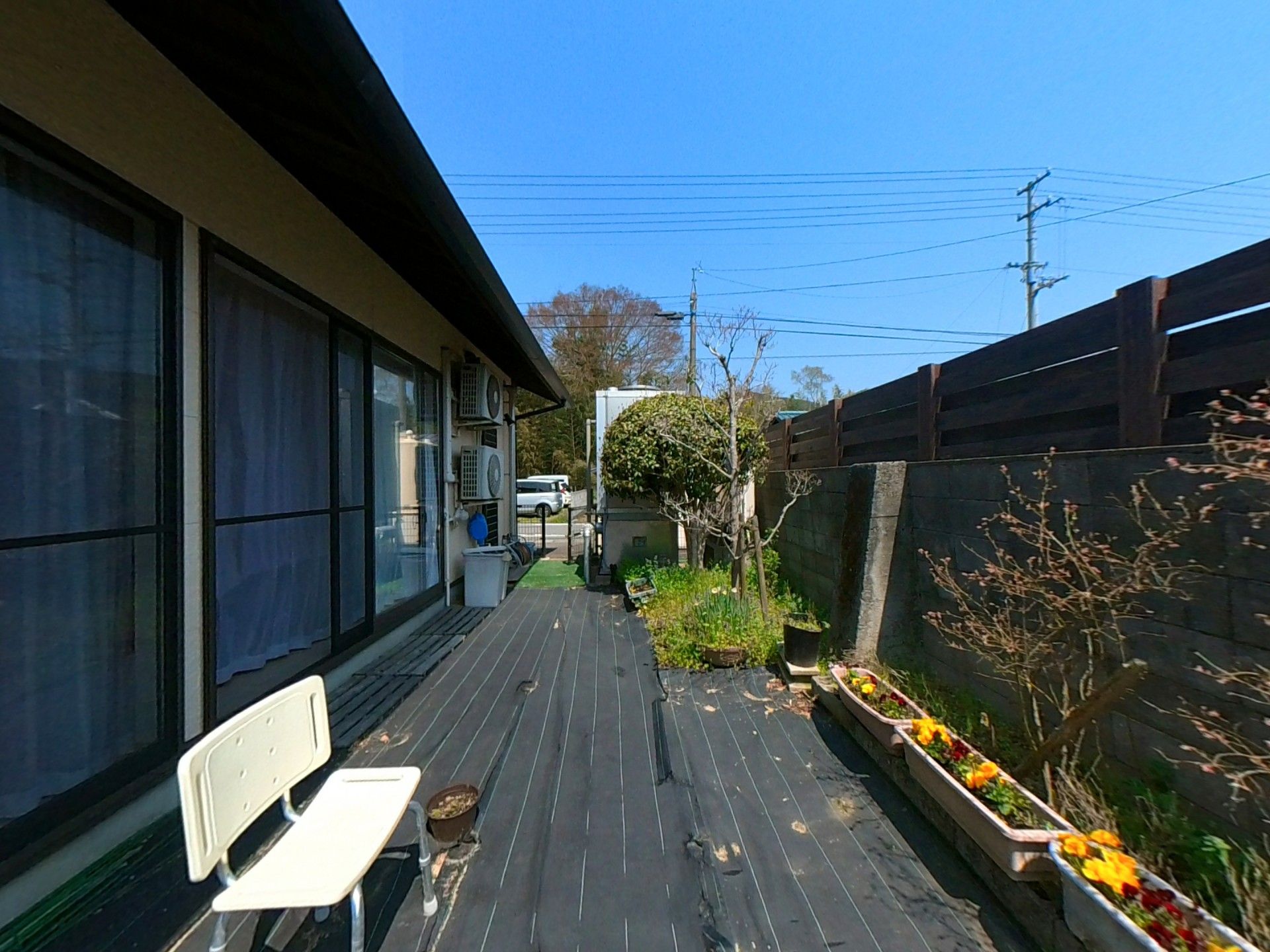 庭の風景