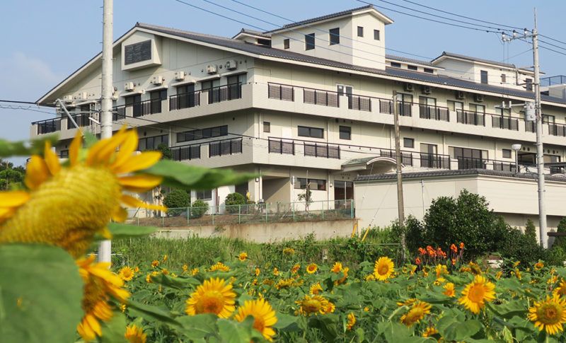 ひまわりと建物の風景