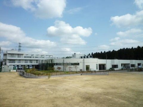 広々とした敷地の建物