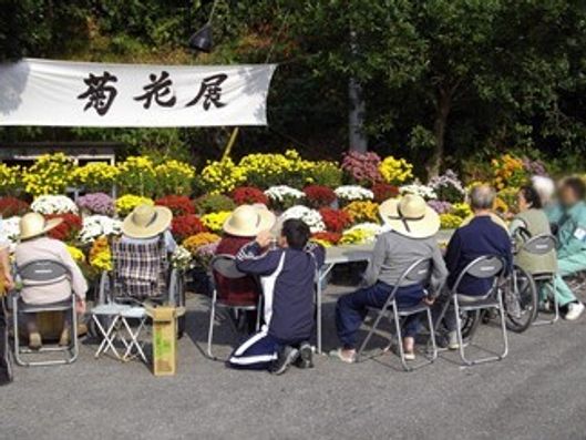 季節の花見