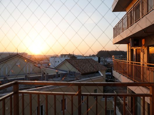居室からの風景