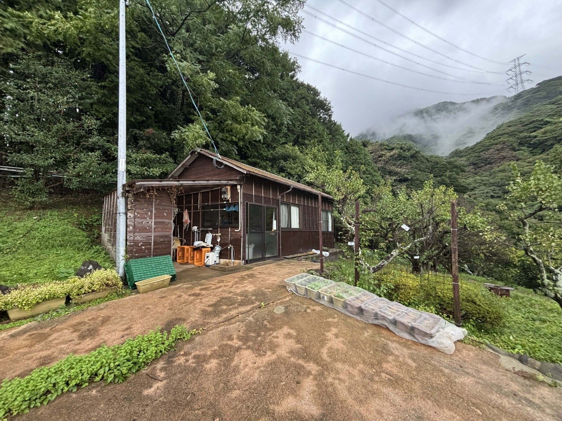 緑に囲まれた建物