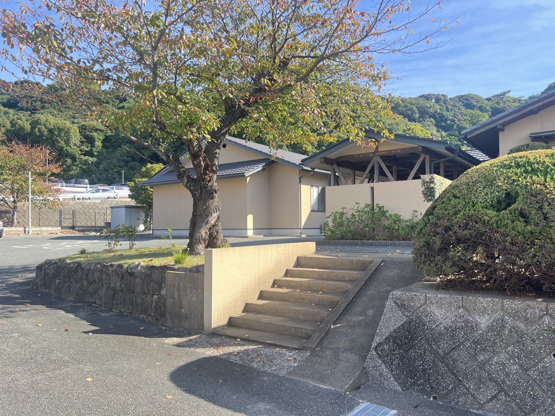 緑豊かな施設入口