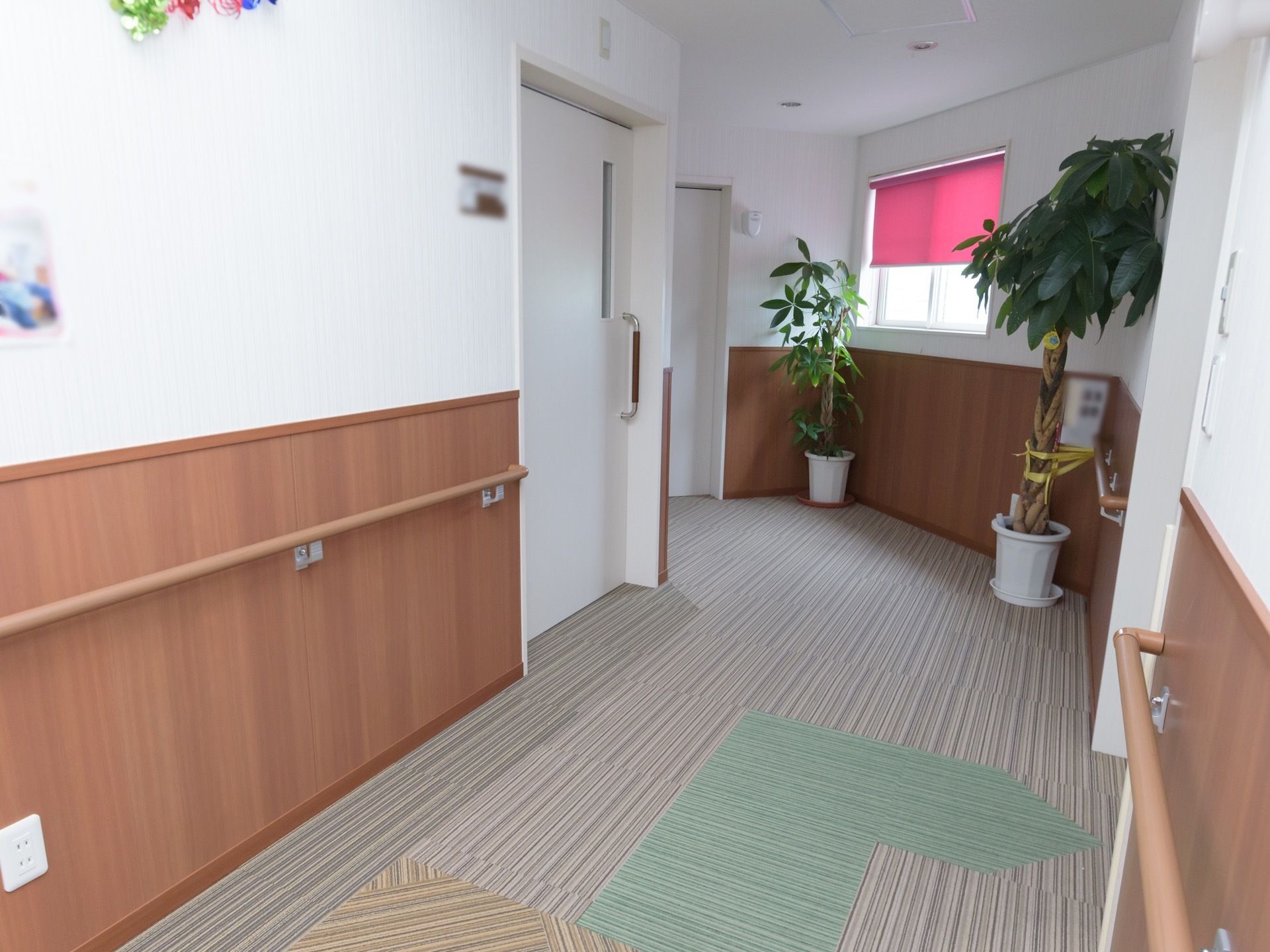 廊下突き当りに窓が設置されており、両サイドに観葉植物がある。居室横の壁には、装飾が施されている。