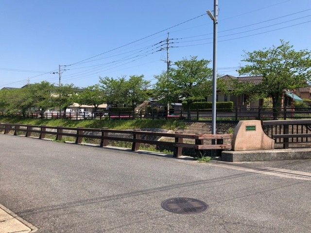 川沿いに桜の木が植えてある光景。
