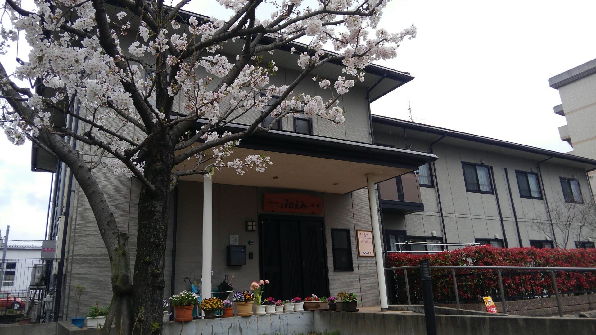 入り口には桜の木があり、桜が満開。また、玄関口にはスロープがある。
