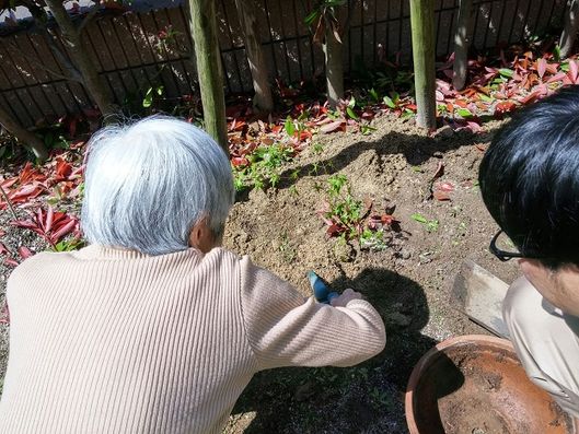 レクリエーション