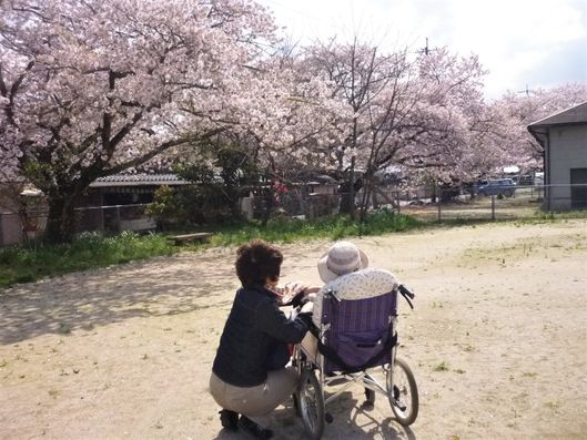 お花見