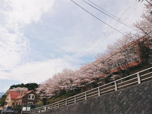 ドライブ