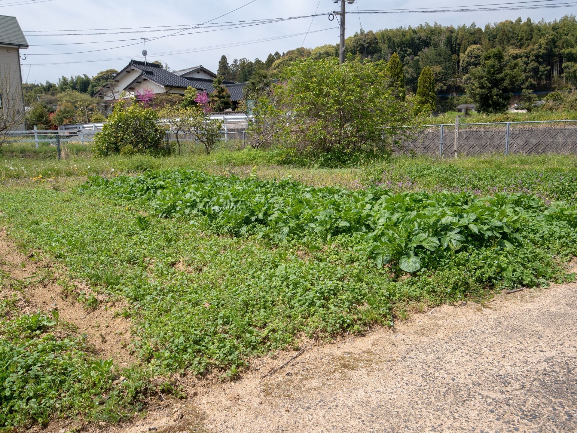 自然環境に恵まれた、１階建てのグループホームである。目の前には田畑が広がっており、のどかな風景を眺められる。