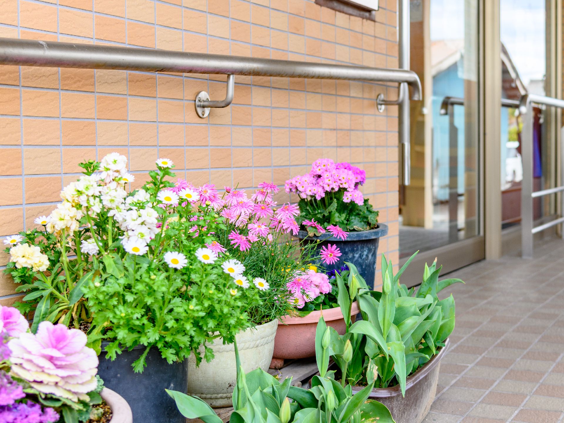 建物の外にある、プランターで育てている季節ごとに咲く花