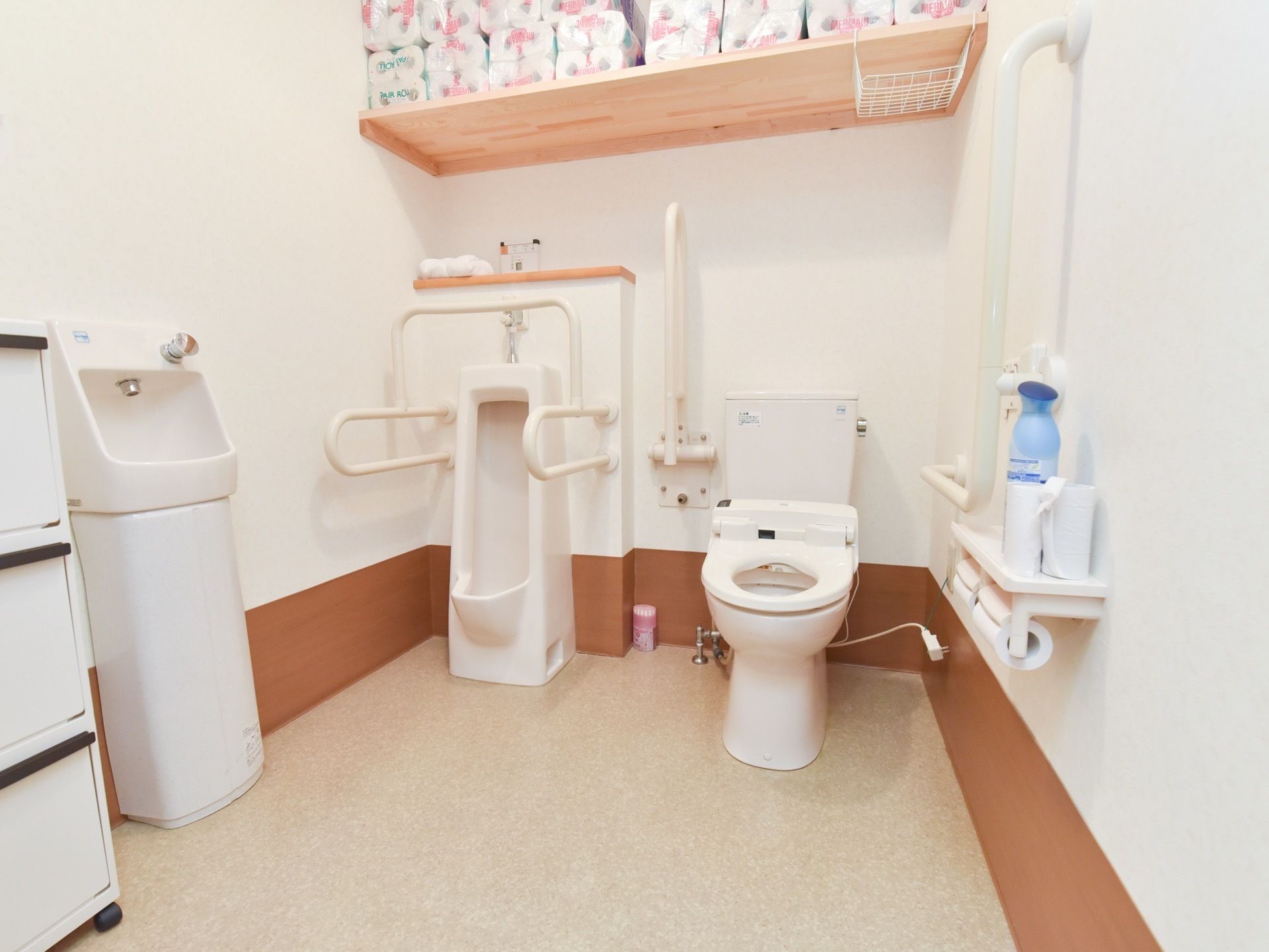 男子用便器と洋式トイレを備えた広いトイレである。手すりが複数設置されており、体を支えながら利用することができる。