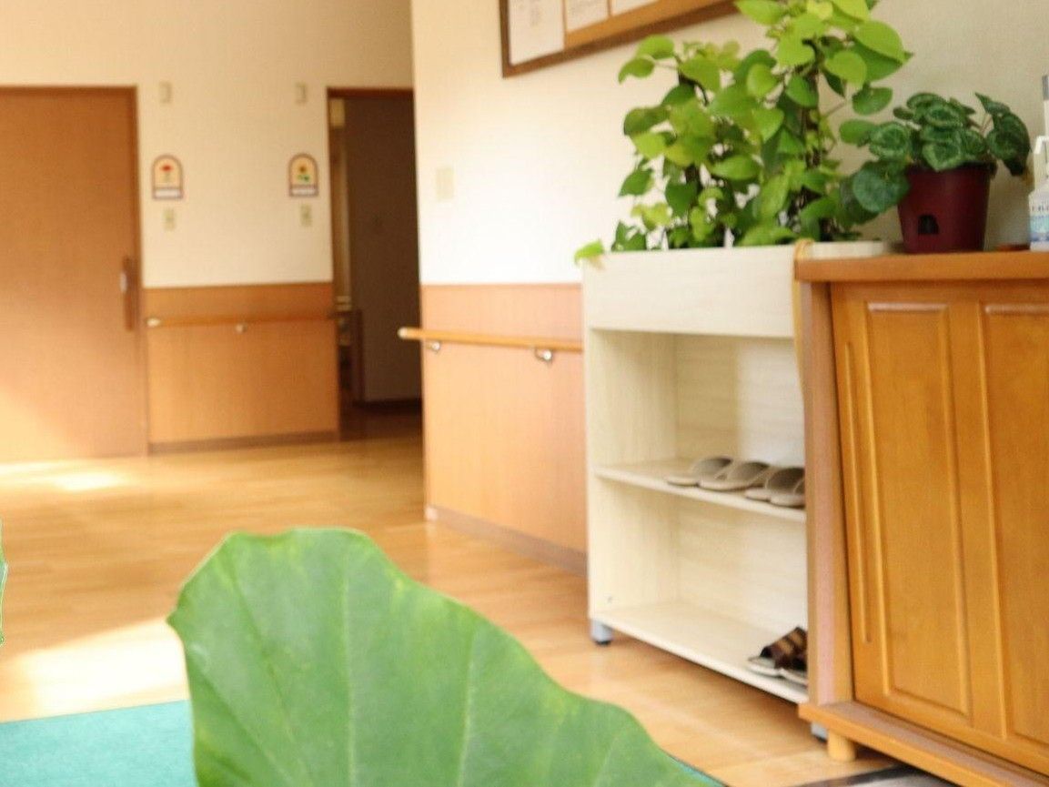 明るい廊下と植物