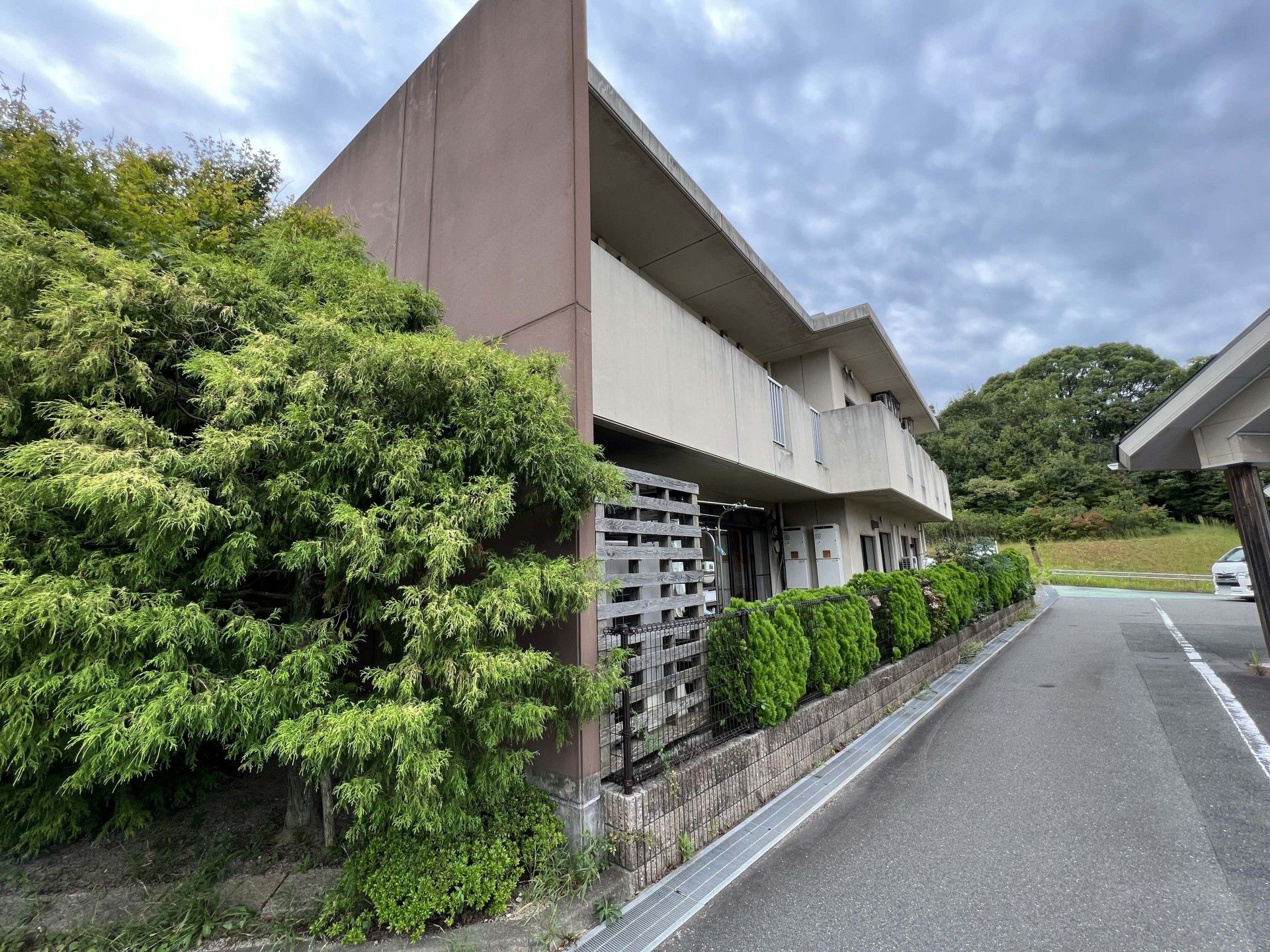 緑豊かな建物