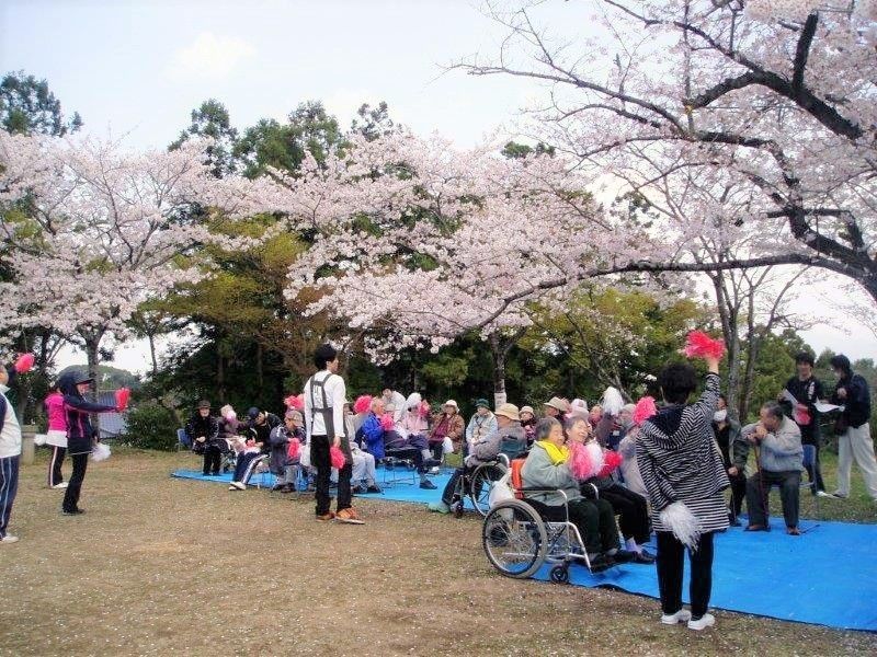 桜の花が咲いている公園内に高齢者が要る様子。施設のイベントで出かけたときの写真