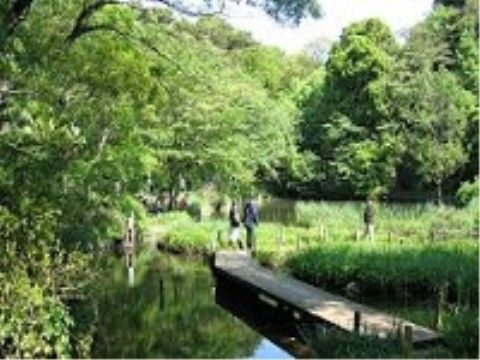 緑豊かな公園である。池には木道が通っており、歩いて散策することができる。散歩コースとして利用できる。