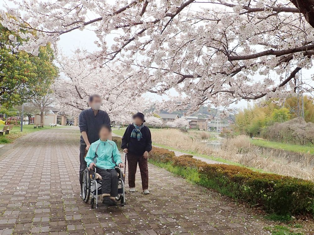 桜の下の散歩道