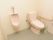 男性用小便器と洋式便器が同じ空間に完備された共用トイレである。Ｌ型手すりと温水洗浄便座が設置されている。