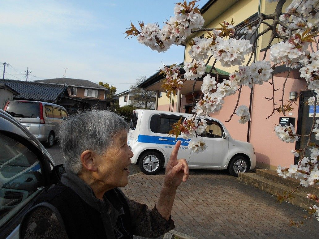 桜と共に微笑む高齢者
