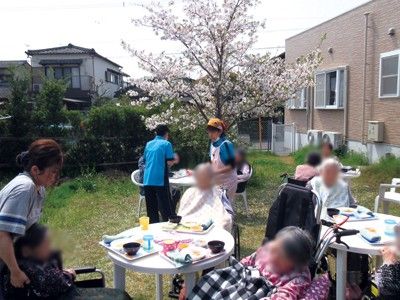 桜の下での食事風景