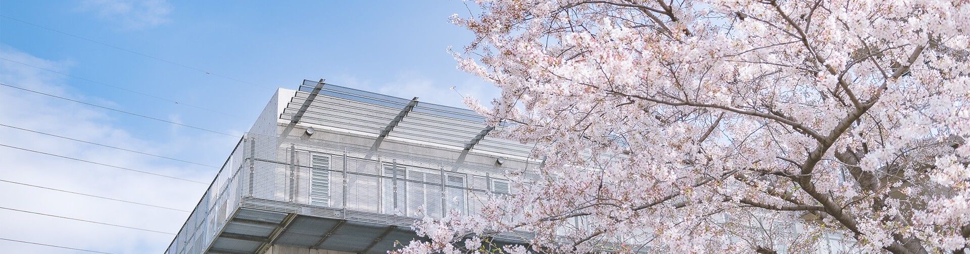 桜と共に春を告げる建物