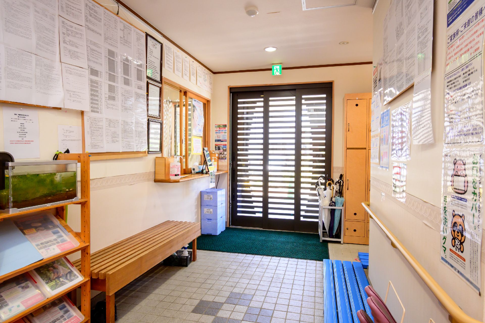 目を合わせて会話する高齢女性と女性ケアマネジャー