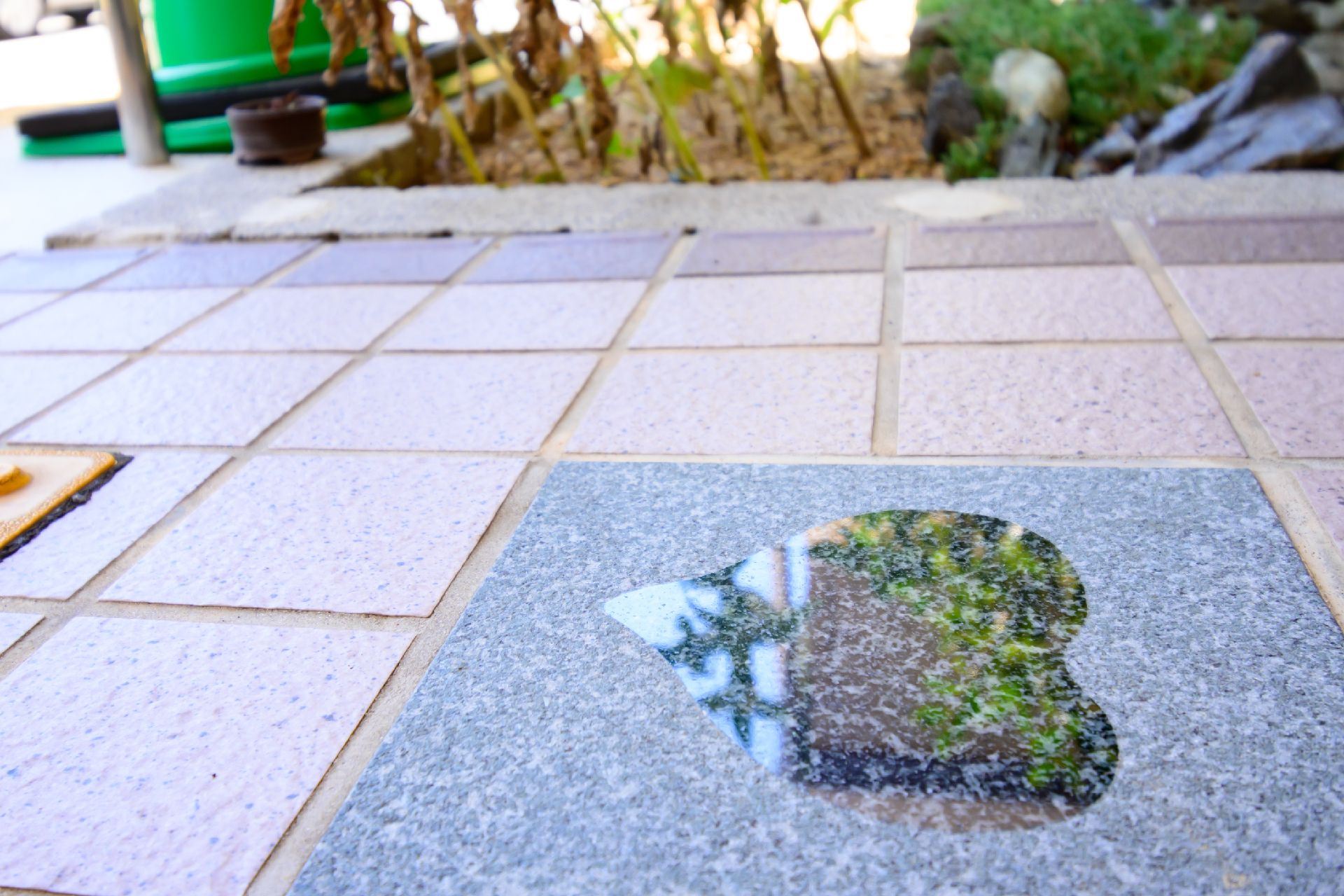 車椅子に乗った高齢女性を介助する女性ヘルパー