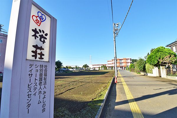 ゆったりとした散歩道