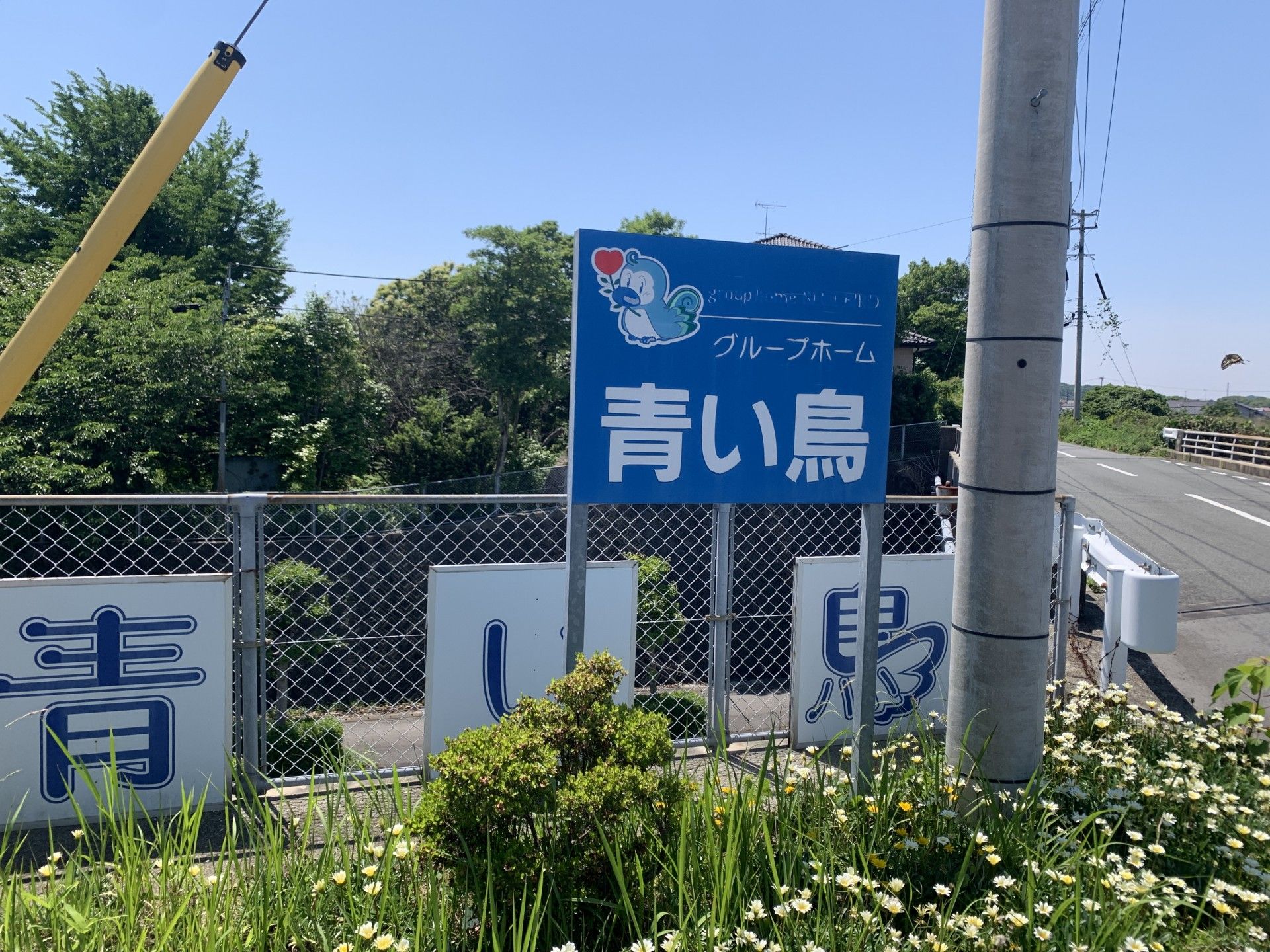 青い鳥の看板