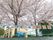 桜と看板の映る外観