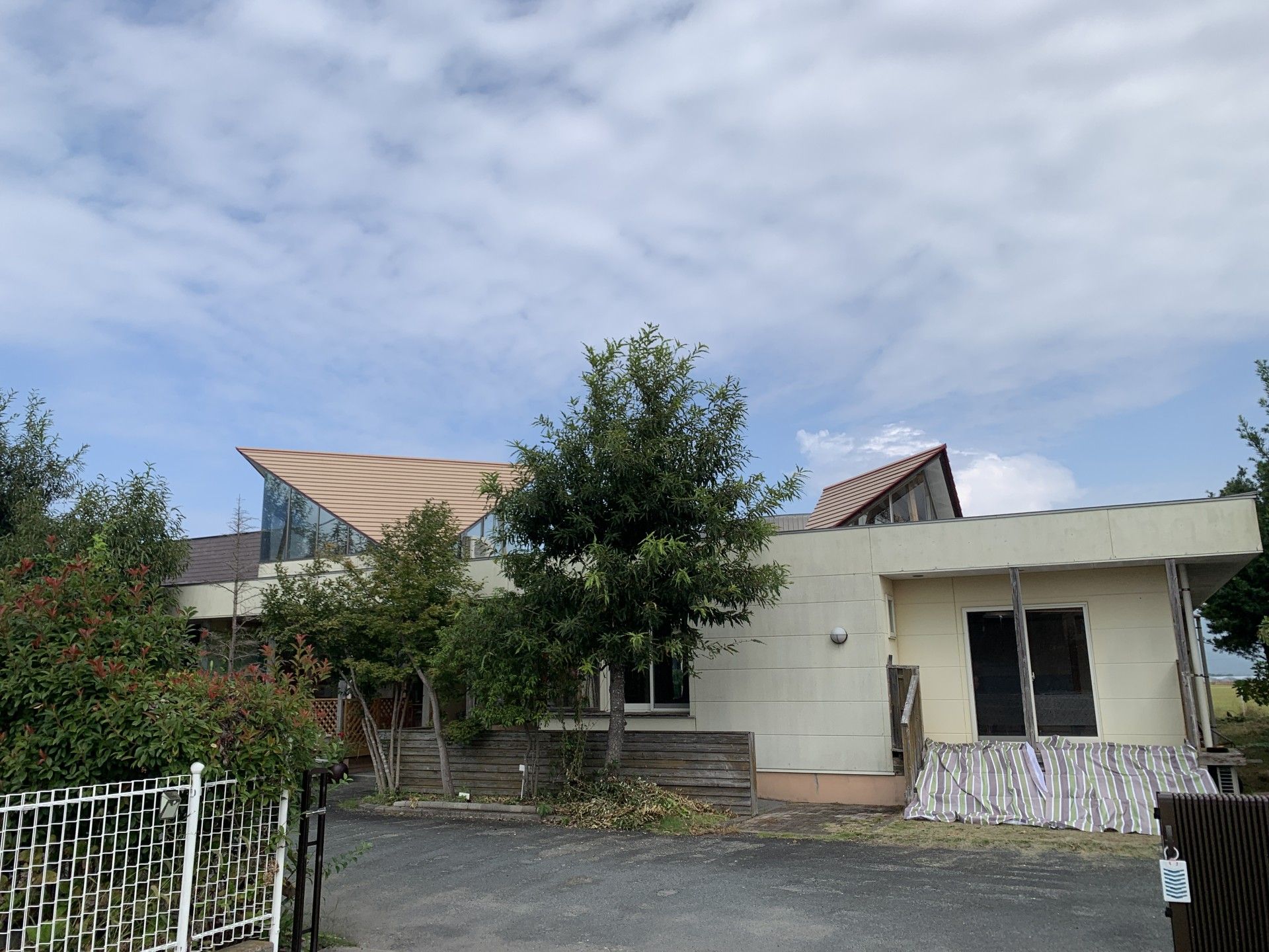 緑に囲まれた建物の外観