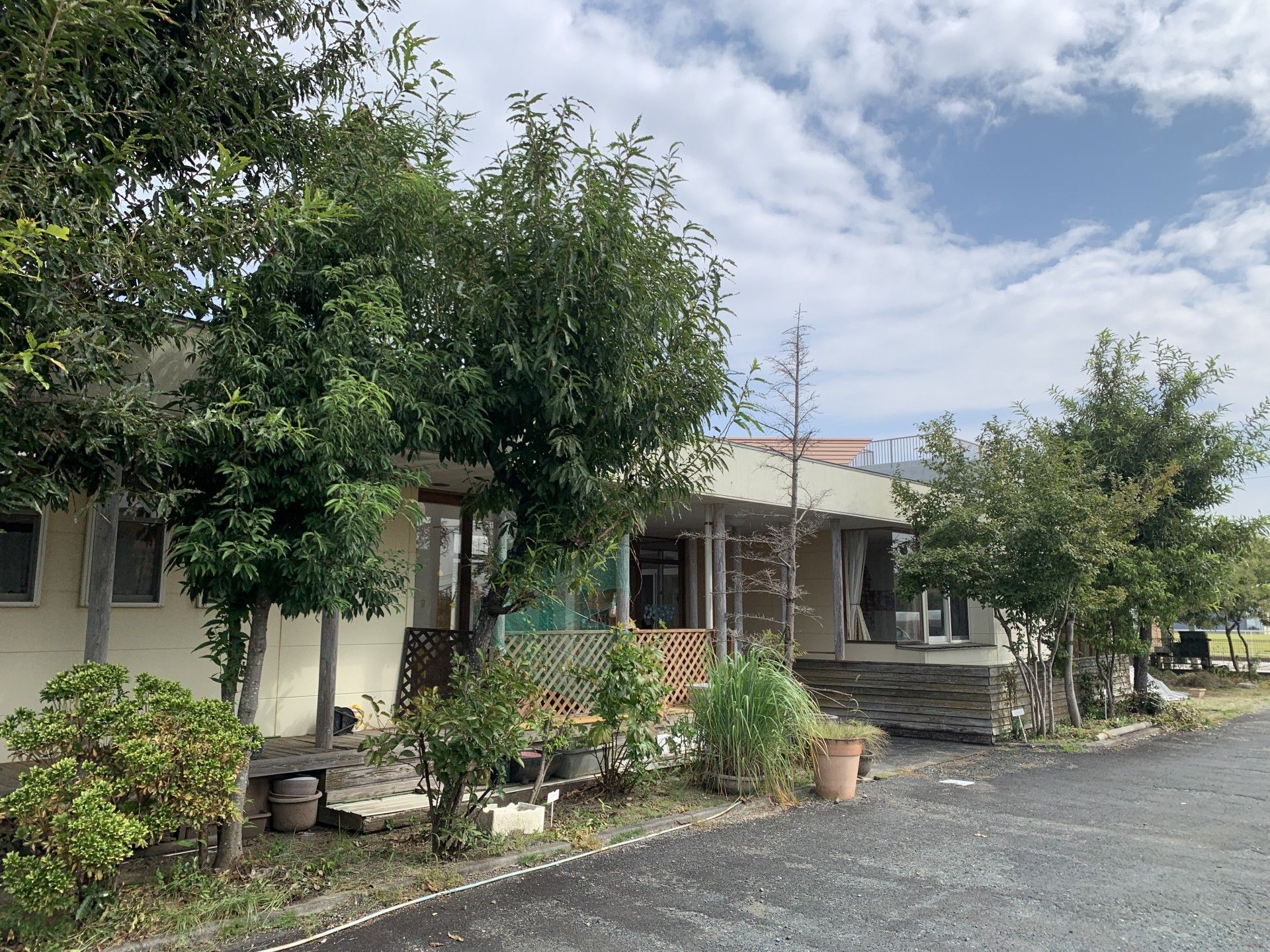 緑に囲まれた建物の外観