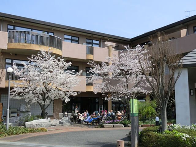 桜と共に過ごす屋外空間