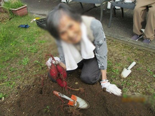 庭での収穫作業