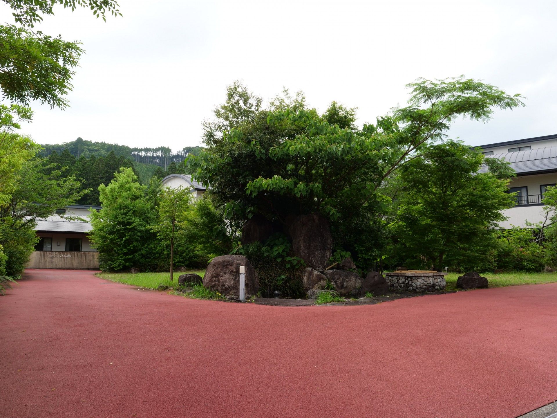 緑豊かな散策路