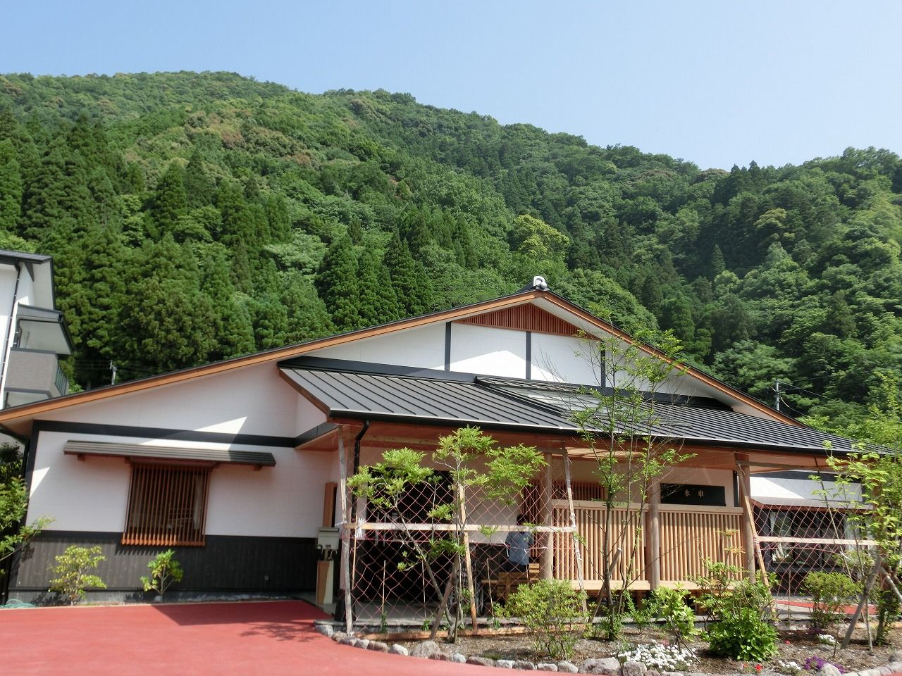 緑に囲まれた建物の外観