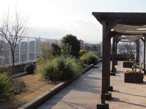 春になると屋上の花壇には色とりどりの花が咲き、見事な庭園になる。ベンチに腰掛けてのんびりと日光浴が楽しめる。