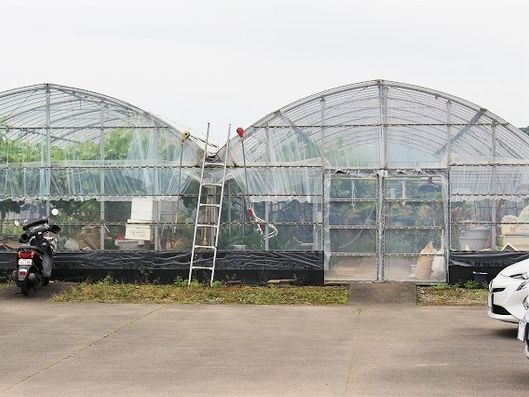 ビニールハウス