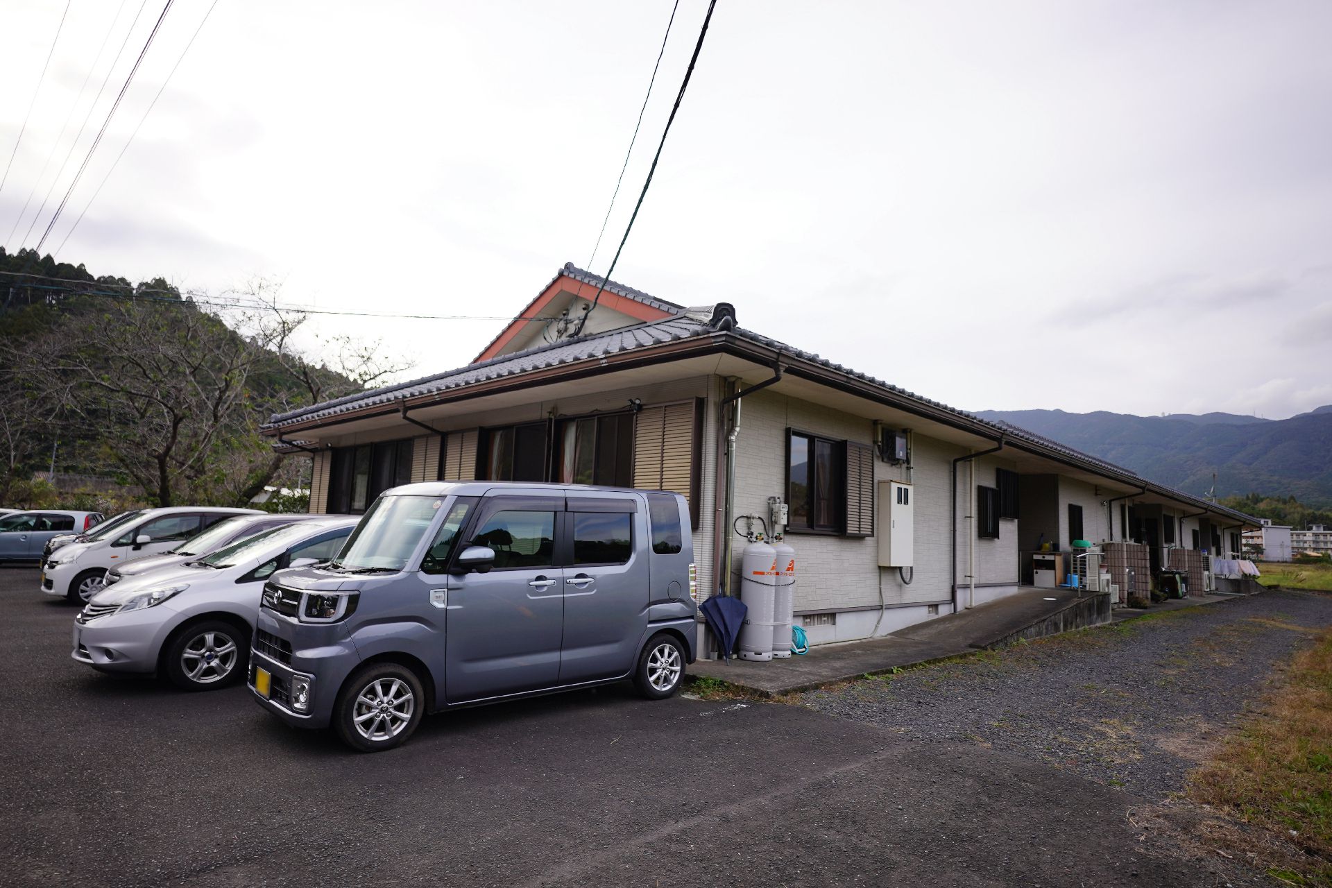 器具を引っ張りリハビリをする高齢女性と指導をする理学療法士の男性