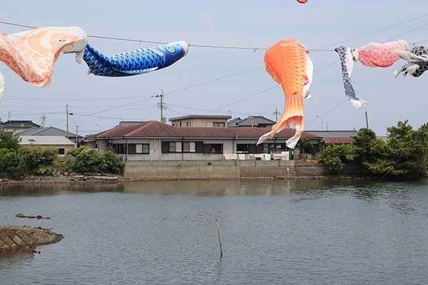 錦鯉のぼりが泳ぐ風景