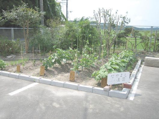 菜園