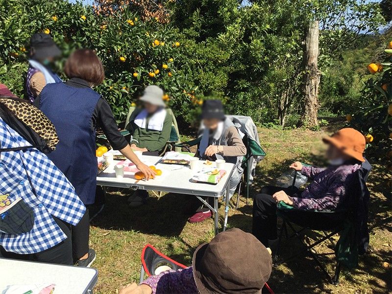 みかん畑での交流