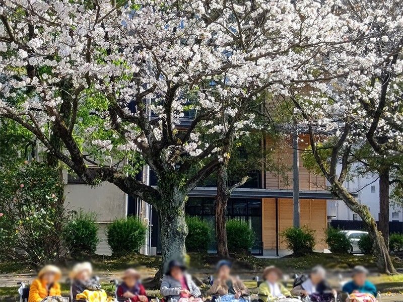 桜の下でくつろぐ人々